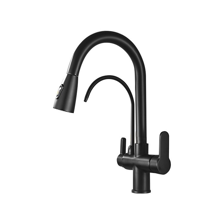 Contemporary Two Handles Kitchen Faucet Double Faucet 1-Hold Faucet