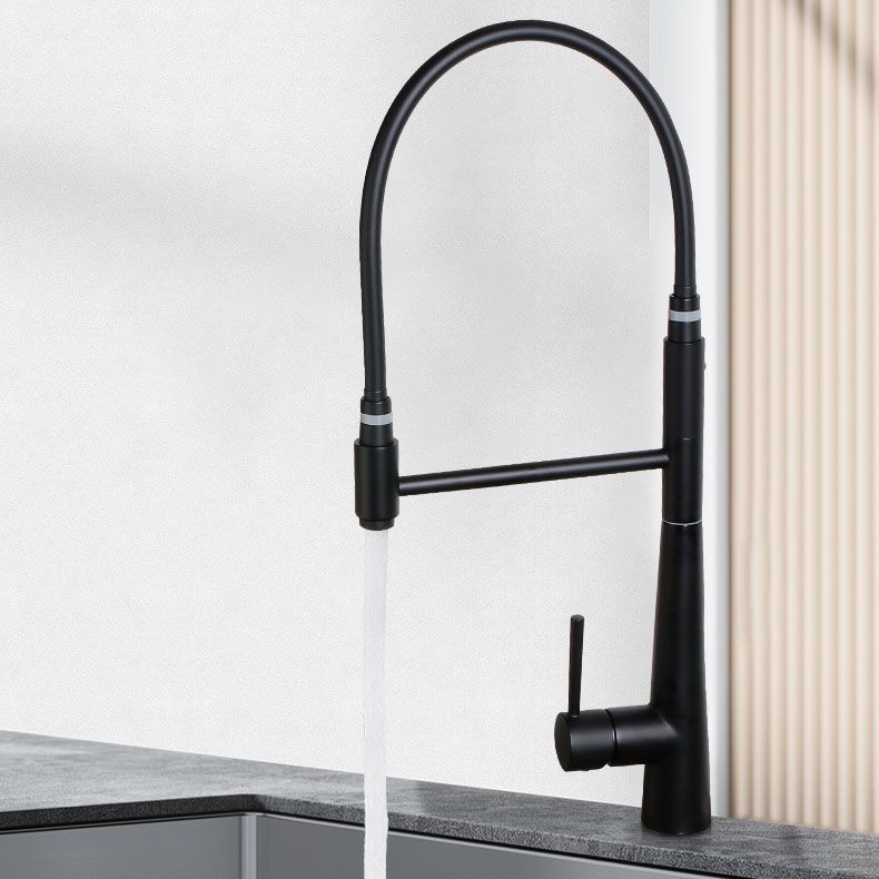 Modern Farmhouse Kitchen Faucet Pull down One Handle High Arch Water Filler