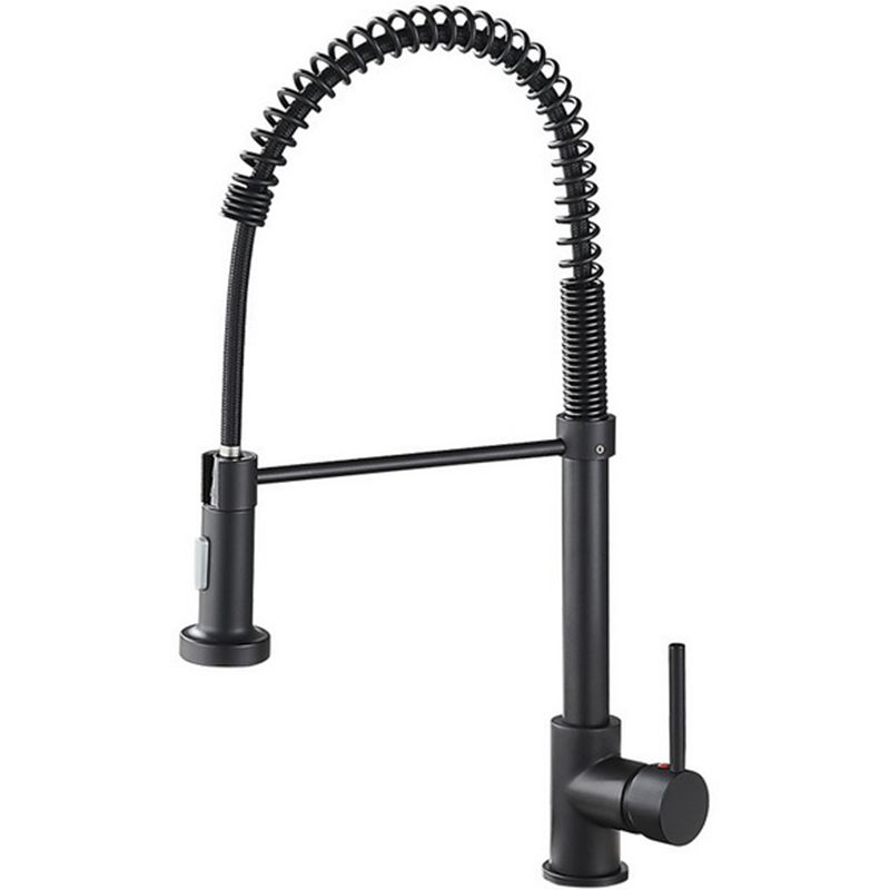 Modern Farmhouse Faucet Spring Spout Water Filler One Handle High Arch Kitchen Faucet