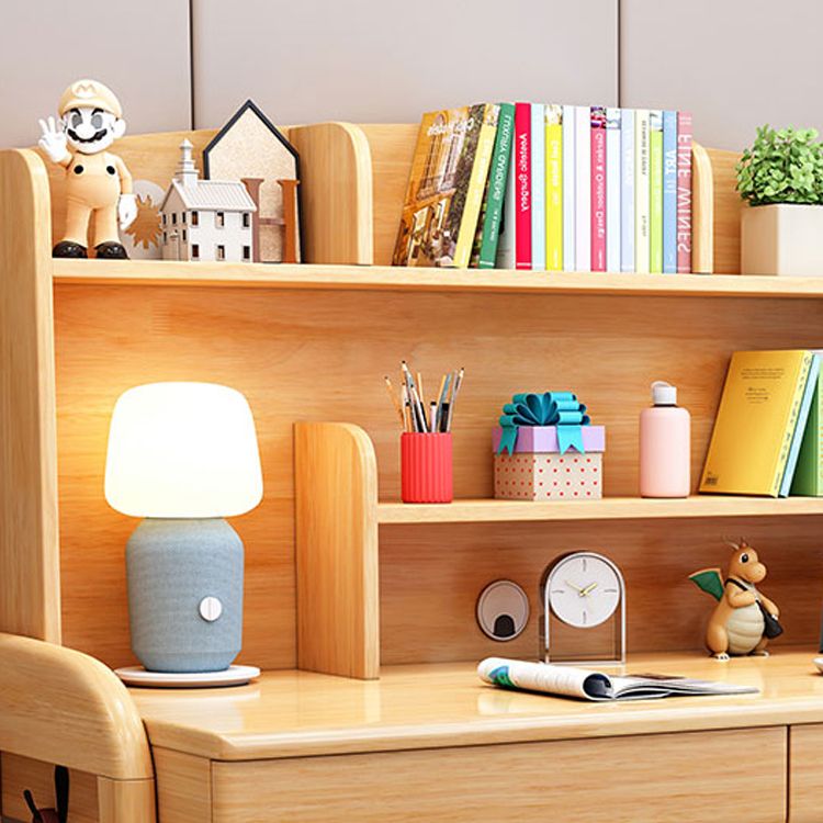 Light Children's Desk Adjustable Study Desk with Storage Shelves