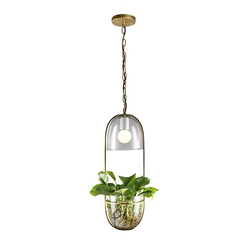 Pendant Ceiling Light Loft Living Room Ceiling Pendant Light with Oval Metal Shade in Gold (Delivery without plants)