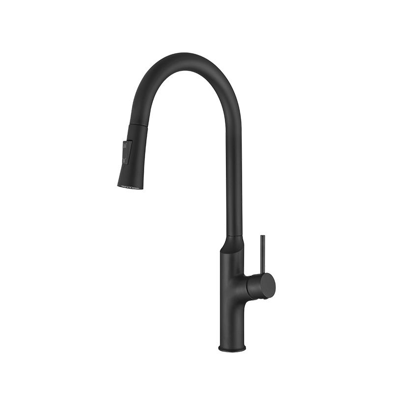 Contemporary Single Lever Kitchen Faucet 1-Hold Water Faucet with Pull out Sprayer