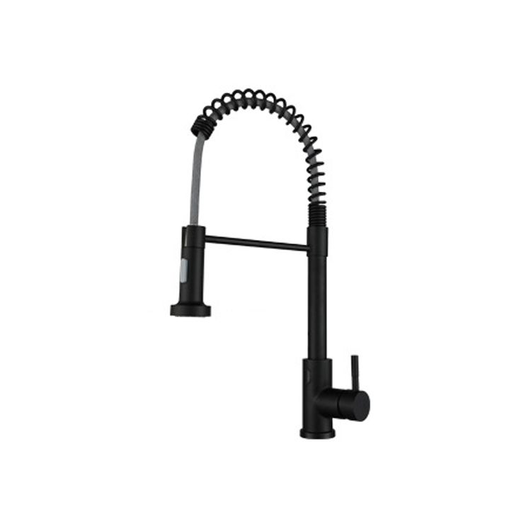 Modern Farmhouse Spring Spout One Handle Kitchen Faucet High Arch Water Filler