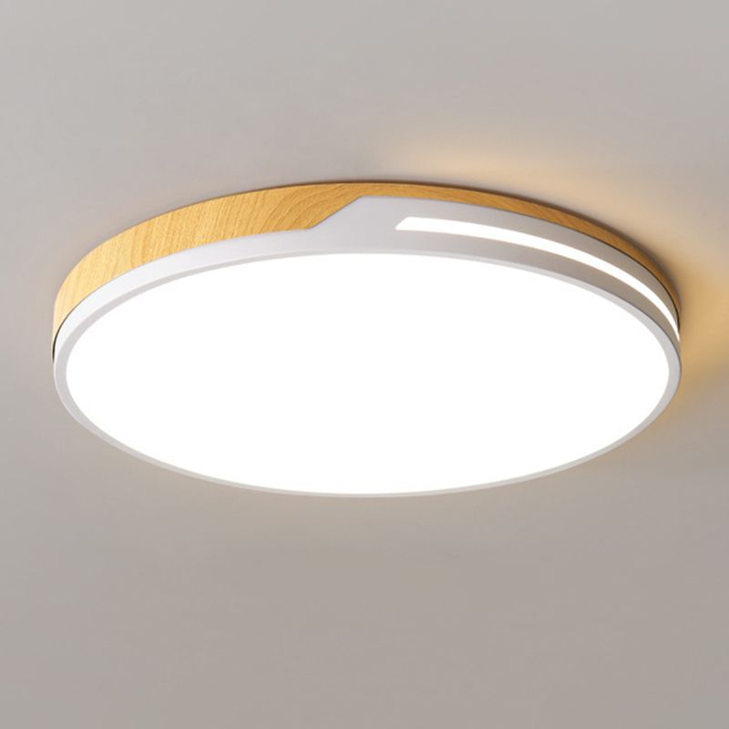 Modern LED Ceiling Light Metal Flush Mount Lighting for Kitchen