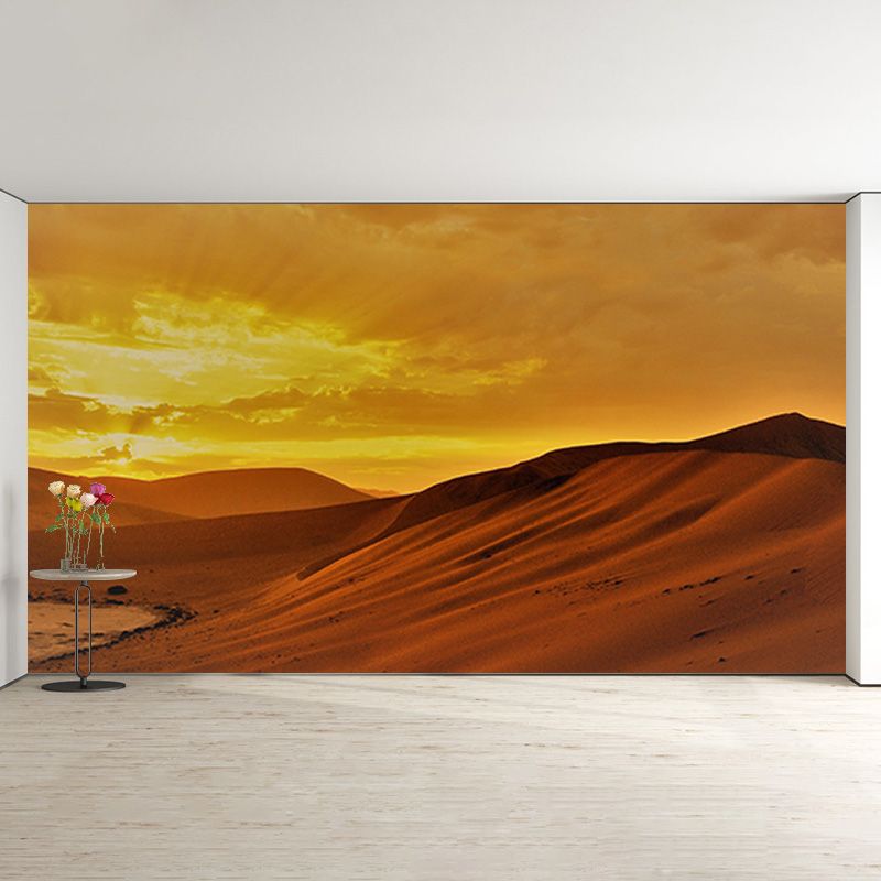 Photography Desert Environmental Wallpaper Drawing Room Mural Wallpaper