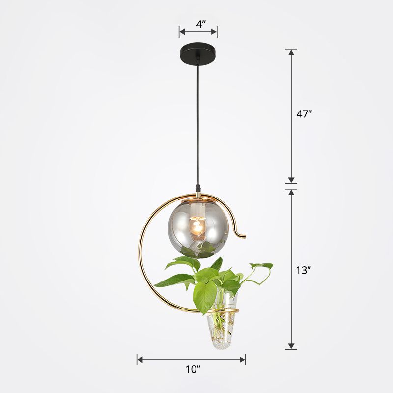 Ball Restaurant Hanging Light Loft Glass 1-Light Pendulum Light with Cone Plant Container