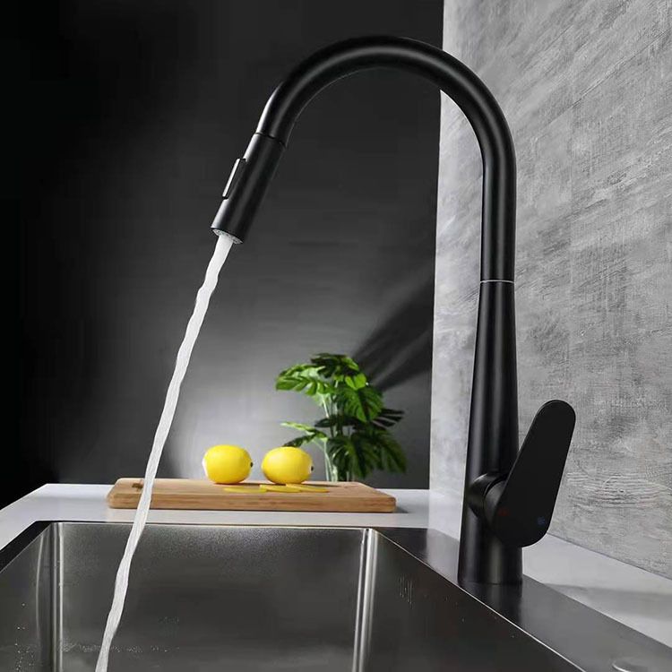 Modern Retractable Kitchen Faucet Stainless Steel 1-Handle High Arc Kitchen Faucet