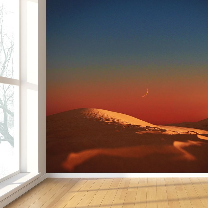 Photography Wall Mural Resistant Contemporary Desert Wall Murals for Home