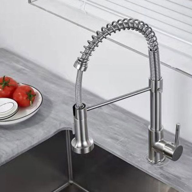 1-Handle Faucets with Water Dispenser Spring Spout Standard Kitchen Faucets