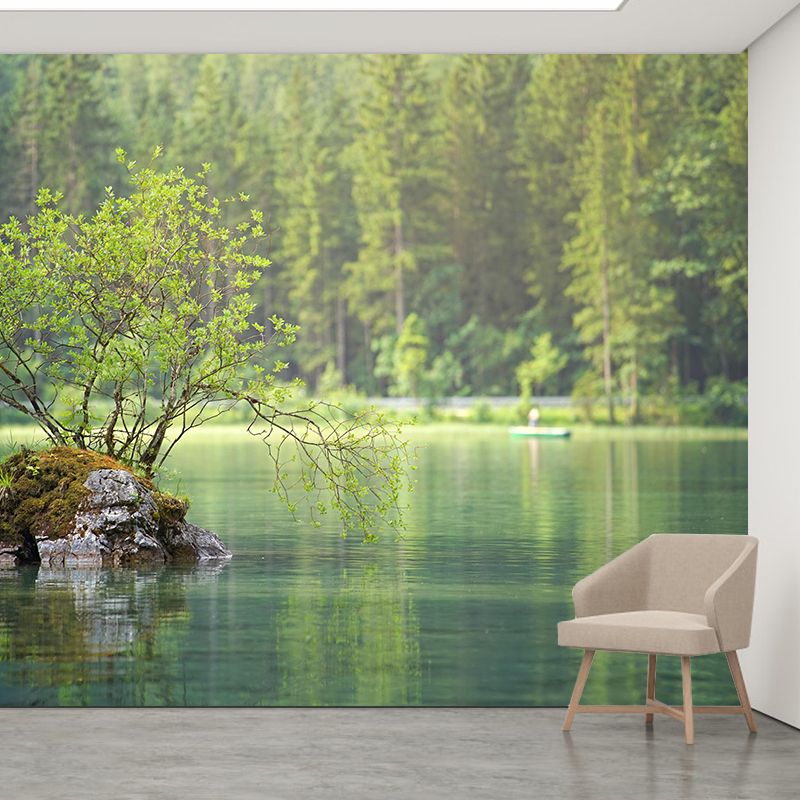 Photography Wall Mural Forest Stain Resistant Environmental Home Wall Mural