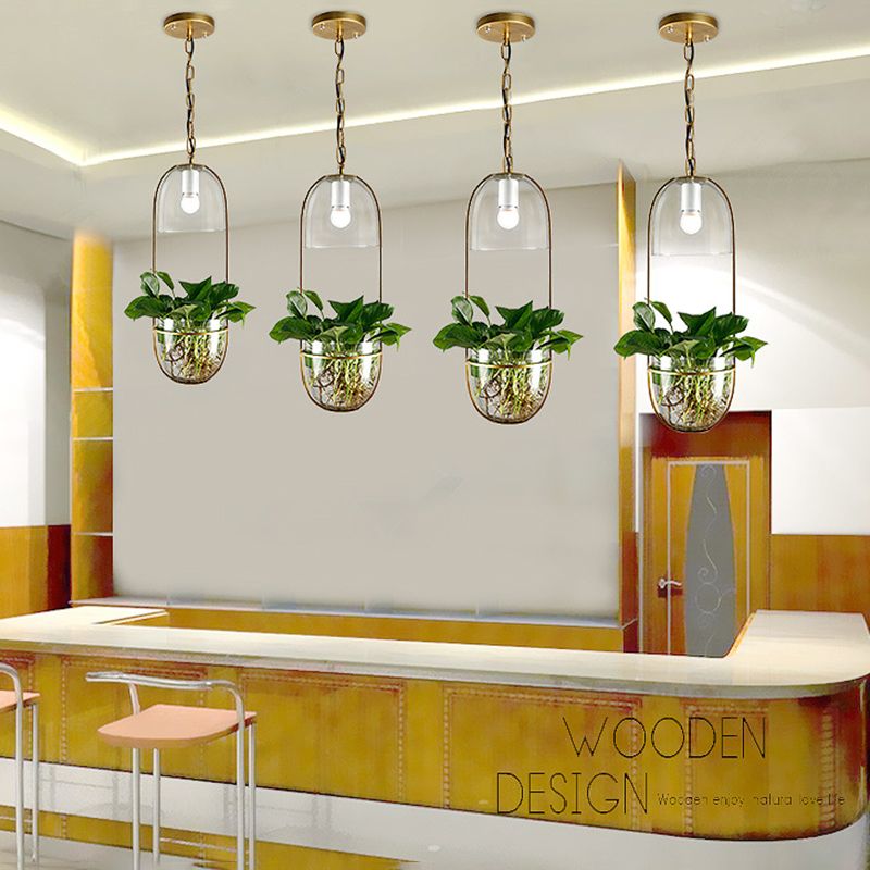 Industrial Ceiling Pendant Glass Plant Light Creative Coffee Shop Restaurant Light (Without Plants)