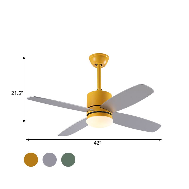 Cylinder Semi Flush Mounted Lamp Modern Metallic Green/Grey/Yellow 4 Blades LED Hanging Fan Light, 42" W