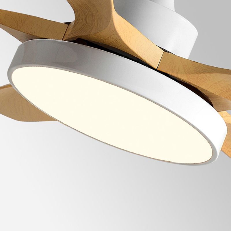 Modern Ceiling Fan Light Fixture Simple LED Ceiling Lamp for Bedroom