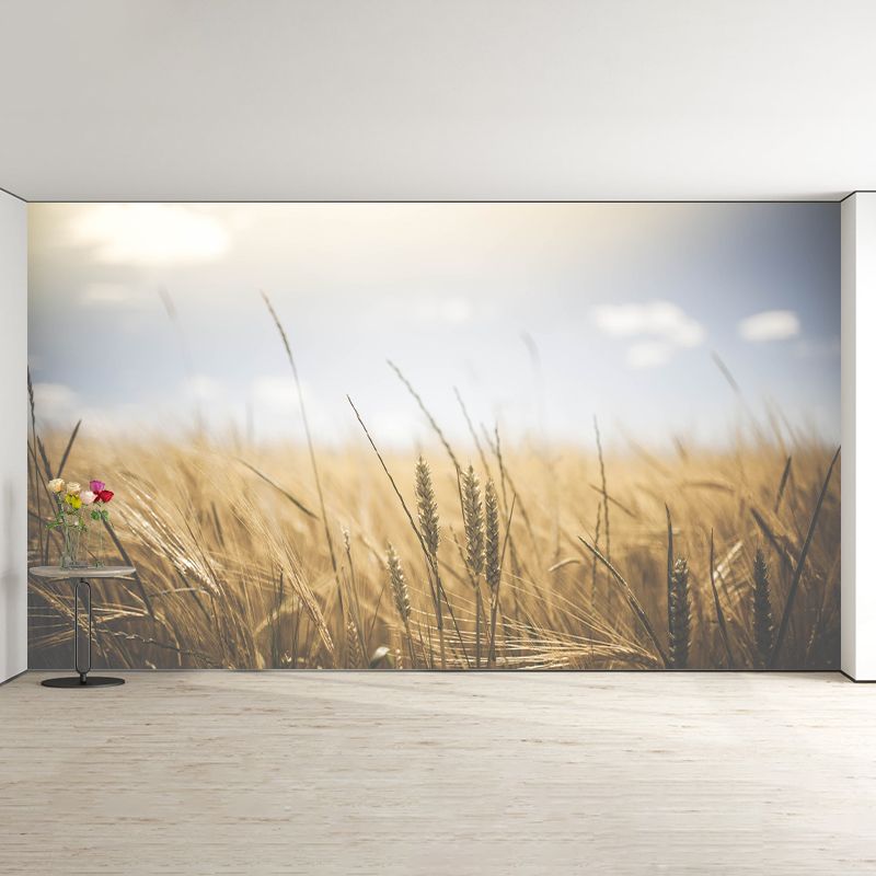 Wheat Field Resistant Mural Wallpaper Environment Friendly Sleeping Room Wall Mural