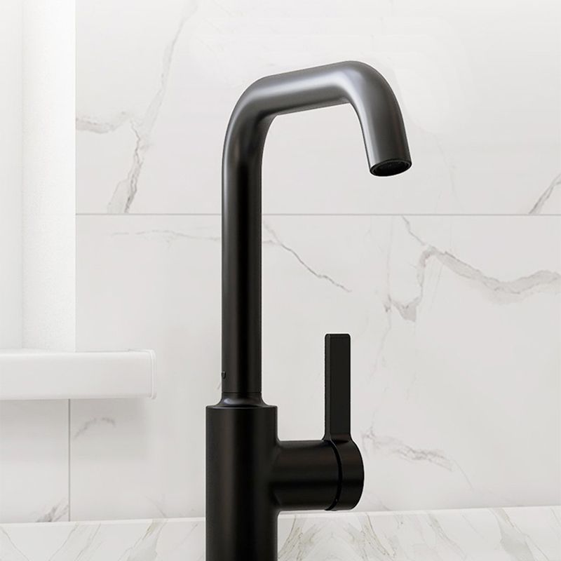 Modern Style Bar Faucet Copper Lever Handle Gooseneck Bar Faucet in Black