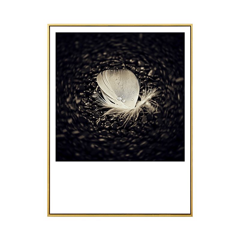 Dark Glam Wall Art Print Photograph Feather Canvas for Room, Multiple Size Options