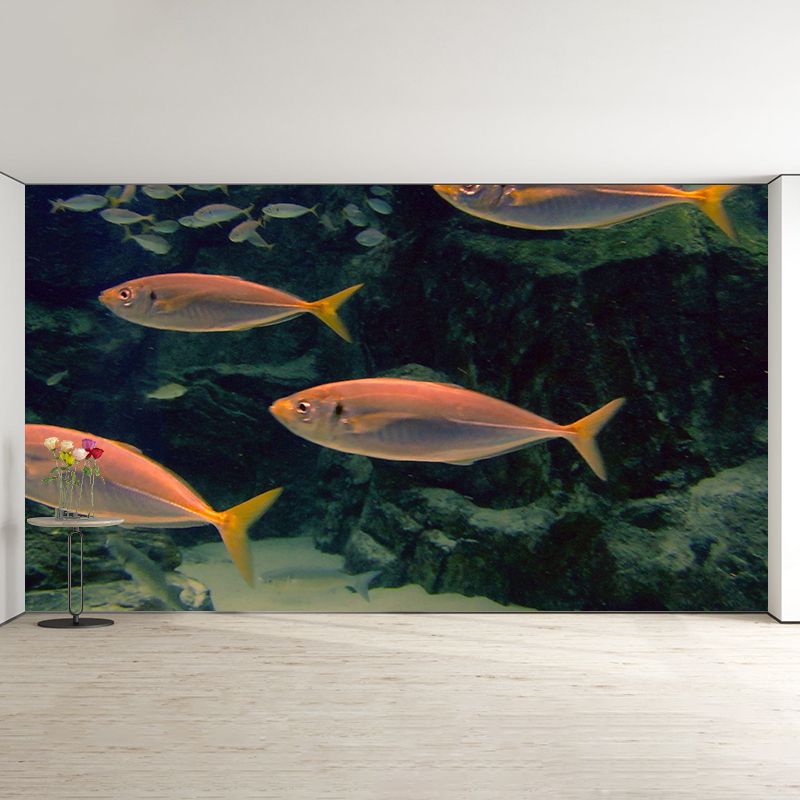 Photography Ocean Fish Printed Wall Mural Modern Stain Resistant Wall Mural