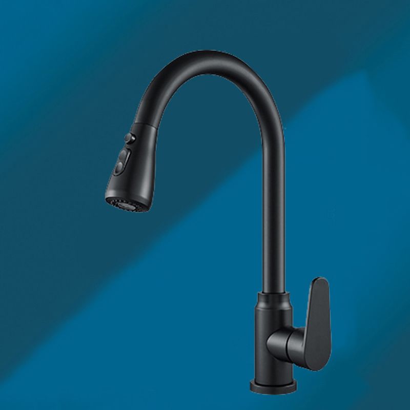 Modern 1-Handle Faucet with Pull out Sprayer with Water Dispenser Copper Faucet