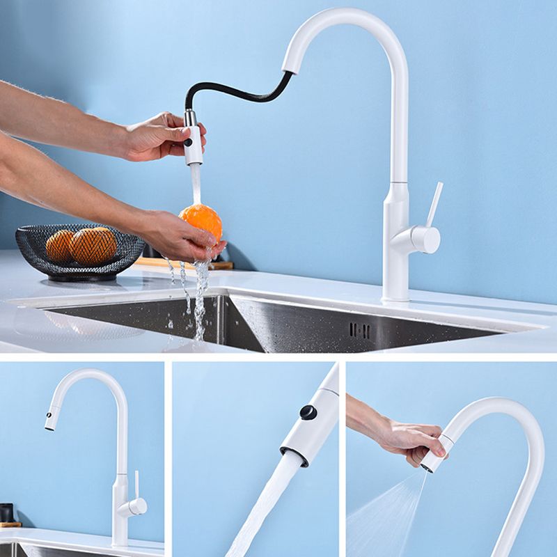 Modern 1-Handle Faucets Stainless Steel with Water Dispenser Pull down Faucets