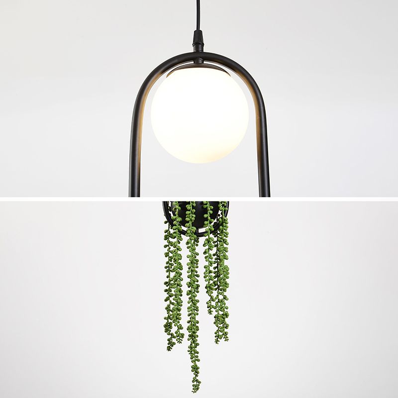 Zwart 1 Licht bolvormig Hanglamp Lichte Noordse retro ovale metalen ringschaduwhanglamp met groene plant