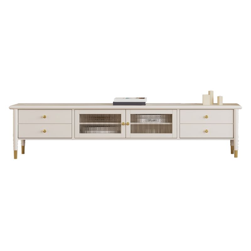 Contemporary Media Console Wood Enclosed Storage TV Console with Doors