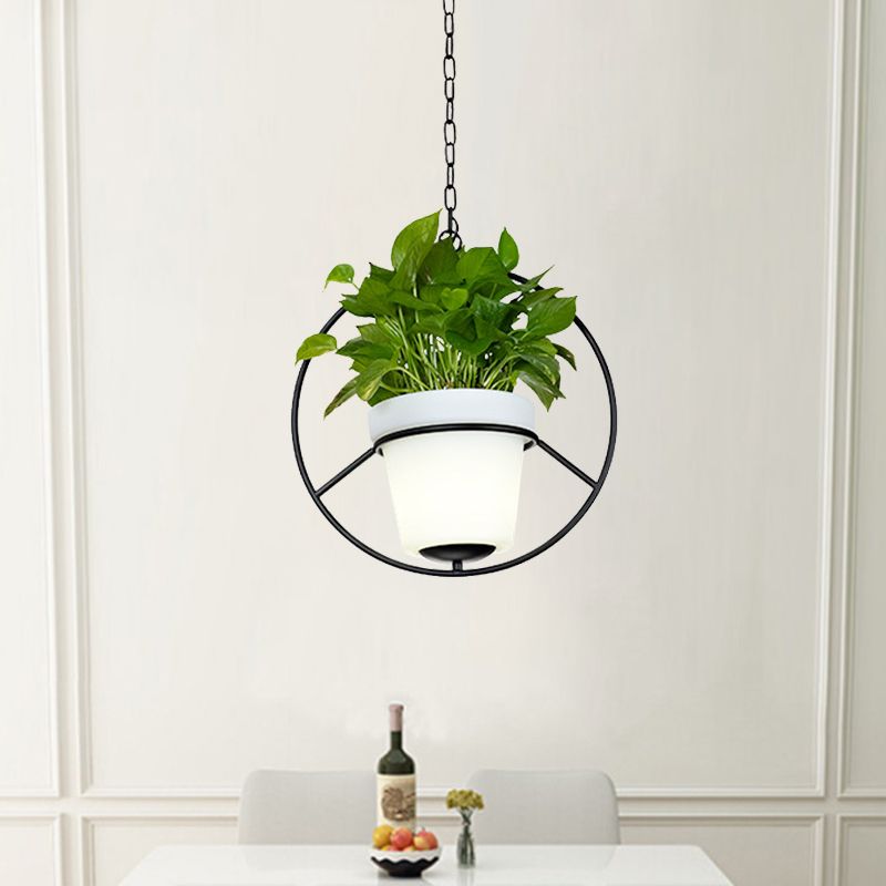 Metal Black Black sospeso Light Round/Flower Frame 1 Lampada Lampada a soffitto con piantatrice di secchi