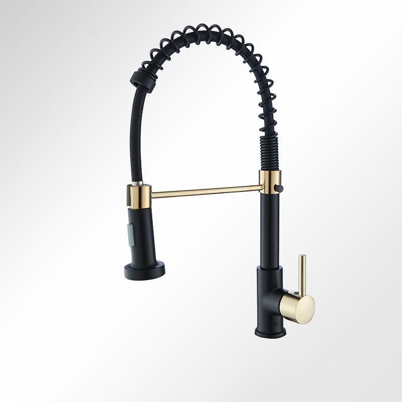 Modern Farmhouse Spring Spout One Lever Kitchen Faucet High Arch Water Filler