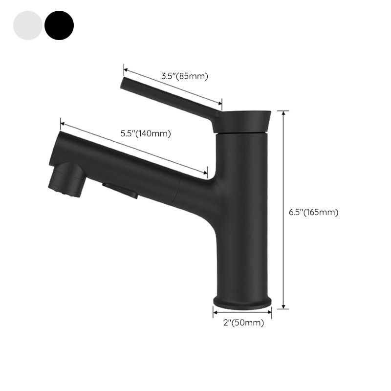 Modern Design Bathroom Faucet Single Handle Faucet with Water Hose