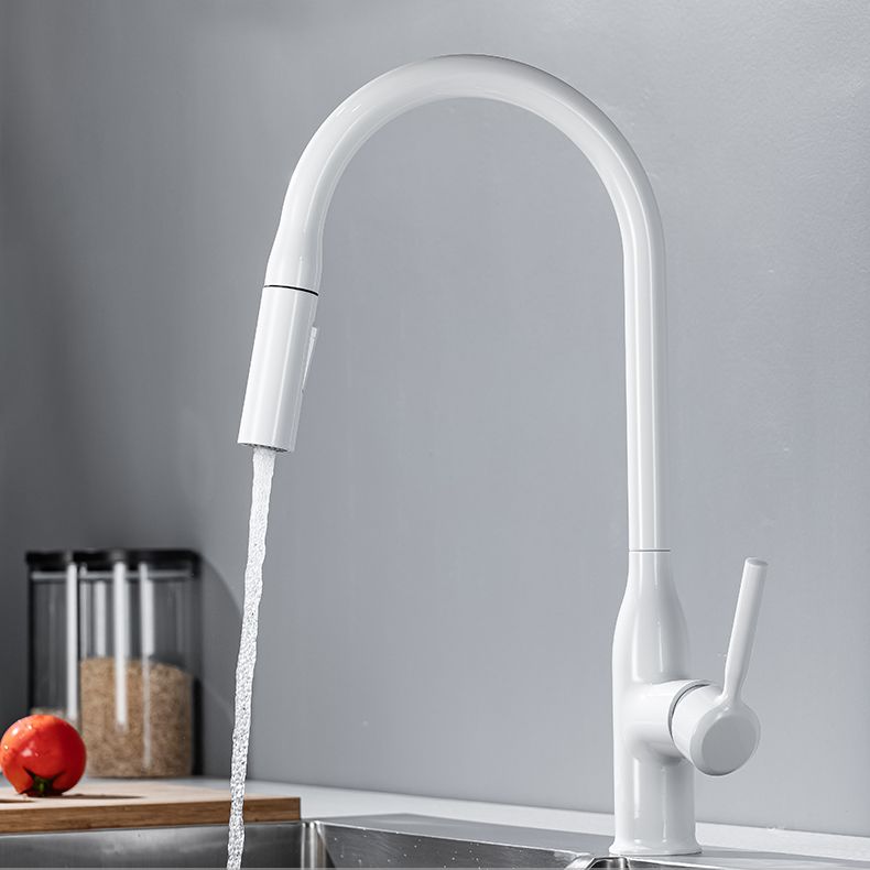 Modern Standard Kitchen Faucet Gooseneck Kitchen Faucet with One Handle