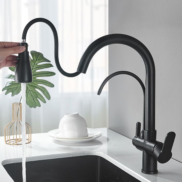 Contemporary Two Handles Kitchen Faucet Double Faucet 1-Hold Faucet