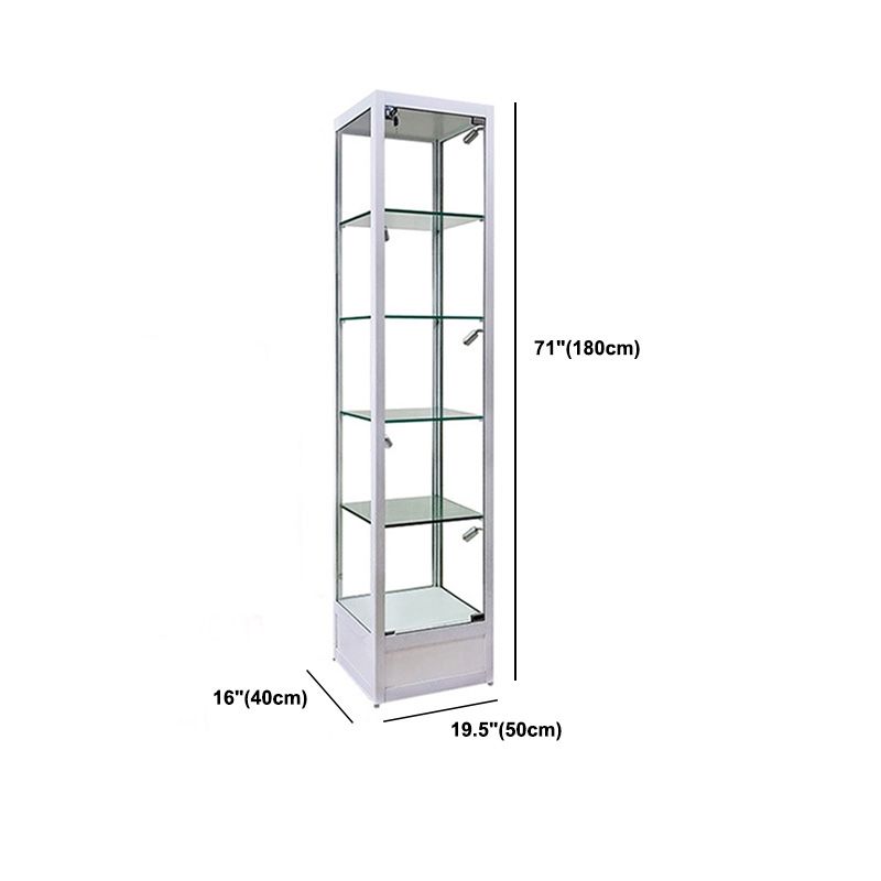 Modern Curio Cabinets Glass Display Cabinet with Locking Doors