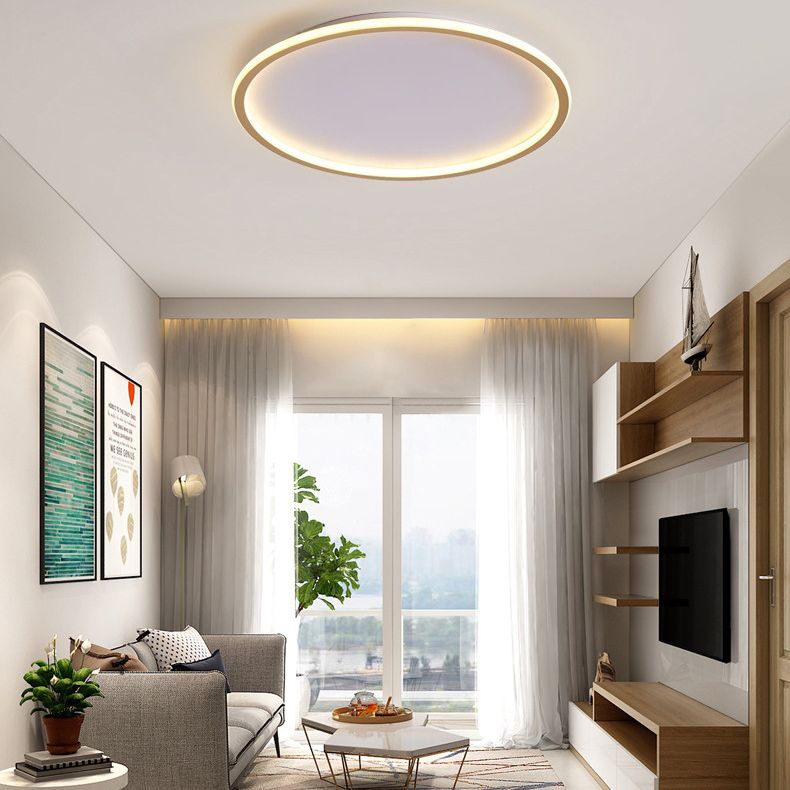 Modern Flush Mount Light Fixture Simple Linear Flush Mount LED Lamp for Living Room