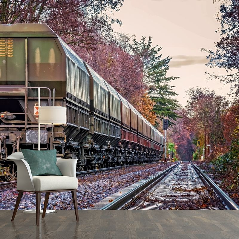 Photography Industrial Mural Decal with Train Landscape for Living Room