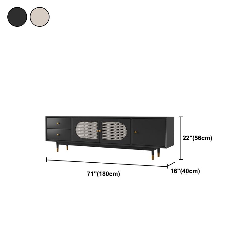 16" D Modern TV Stand Wooden Closed Storage Media Console with 2 Drawers and 1 Door