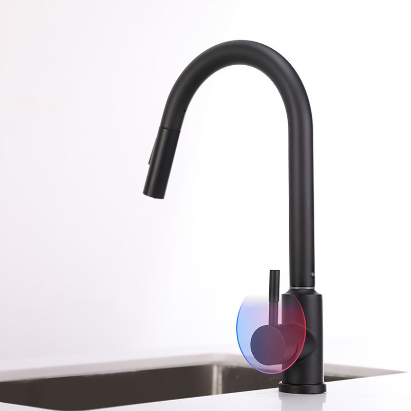 Modern 1-Handle Faucets Stainless Steel Gooseneck with Pull Out Sprayer Faucets