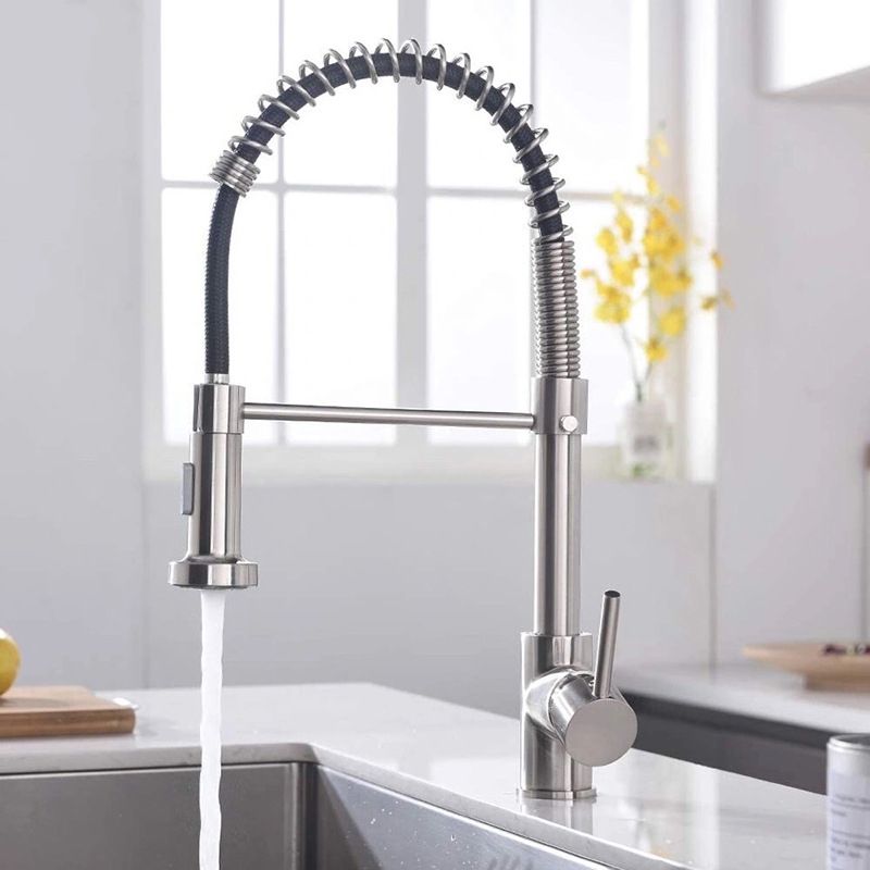 Modern Farmhouse Spring Spout Water Filler One Handle High Arch Kitchen Standard Faucet