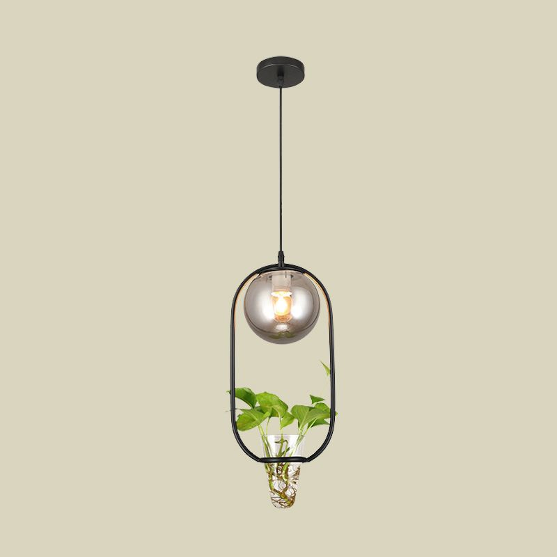 Industrial Global Hanging Ceiling Light 1 Bulb Smoke Gray Glass Pendant Lamp in Black/Grey/Gold with Oval Cage and Plant Cup