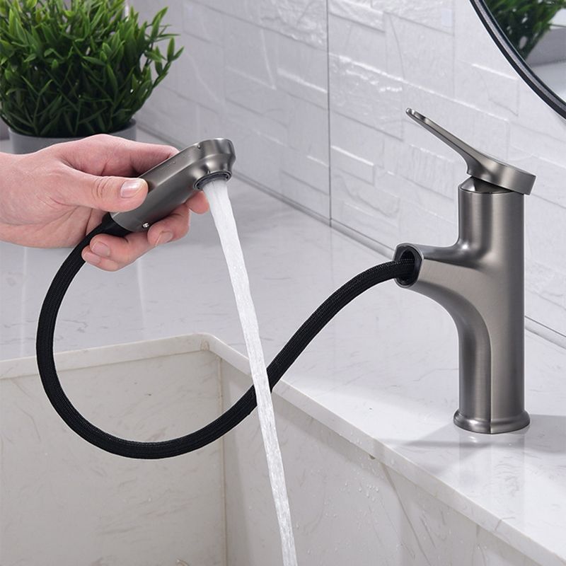 Modern 1-Handle Faucet with Water Dispenser Copper with Pull out Sprayer Faucet