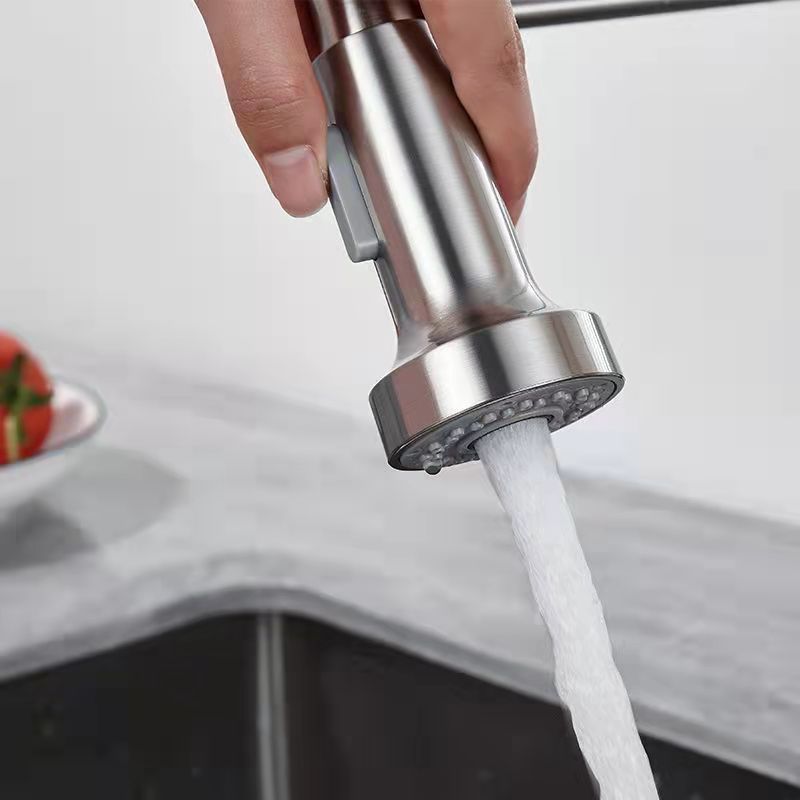 1-Handle Faucets with Water Dispenser Spring Spout Standard Kitchen Faucets