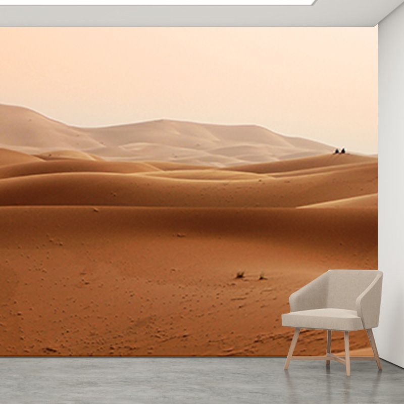 Desert Stain Resistant Photography Wall Mural Living Room Wallpaper