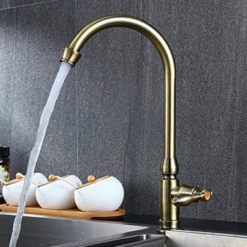 Traditional 2-Function Kitchen Faucet 1-Handle 1-Hole Faucet in Bronze