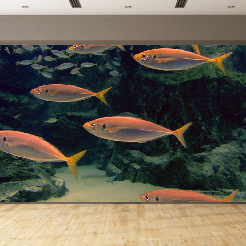 Photography Ocean Fish Printed Wall Mural Modern Stain Resistant Wall Mural