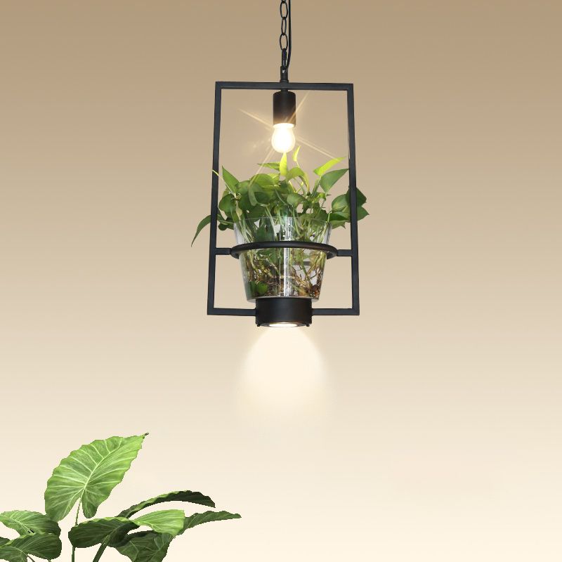 Zwart 1 Lichte verlichting Industrieel ijzerronde/rechthoekige kooi druppel hanger met heldere glazen plantenpot