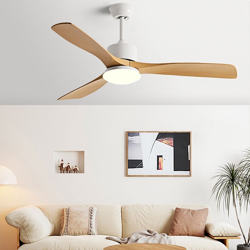 Metal and Plastic LED Ceiling Fan Modern Simple 3 - Blades Fan Lighting