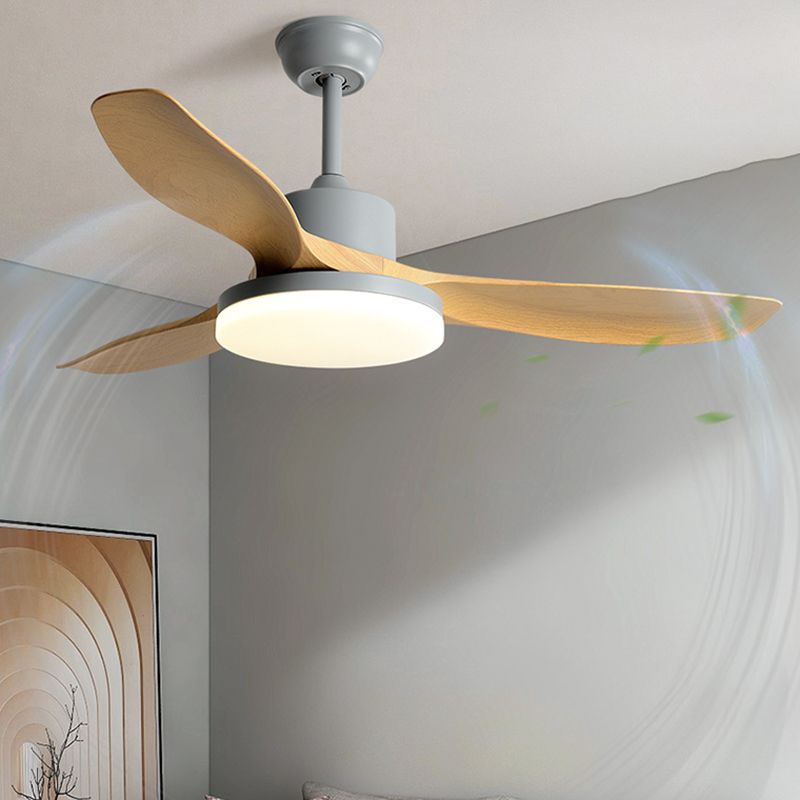 1 - Light Contemporary Ceiling Fan 3 - Blades Fan Light for Room