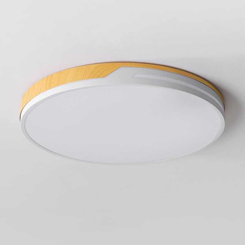 Modern LED Ceiling Light Metal Flush Mount Lighting for Kitchen