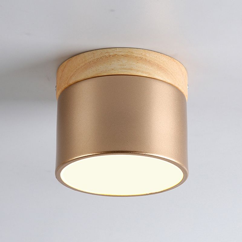 Modern Style Cylindrical Shape Ceiling Lamp Metal 1 Light Ceiling Lighting for Living Room