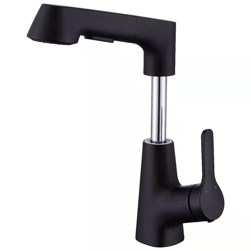 Contemporary Kitchen Faucet Single Handle 2-Function Faucet with Pull out Sprayer