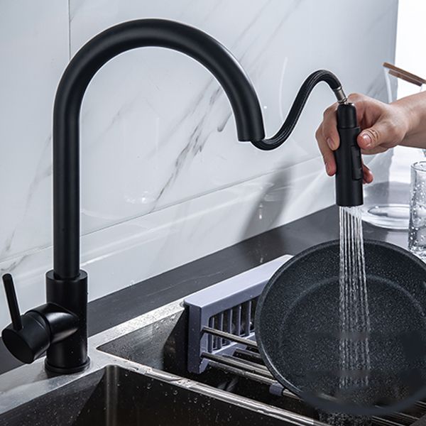 Modern Style Kitchen Faucet Gooseneck Kitchen Faucet with Pull down Sprayer