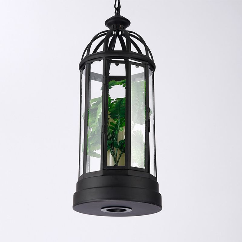 Lampe de plafond allongée noire Industriel en verre transparent en verre simple Restaurant une bougie et plante